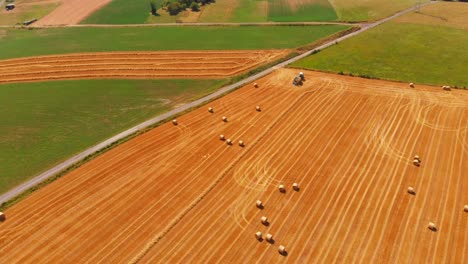 Tractor-Cosechando-Campos-De-Cebada-Madura-Dorada