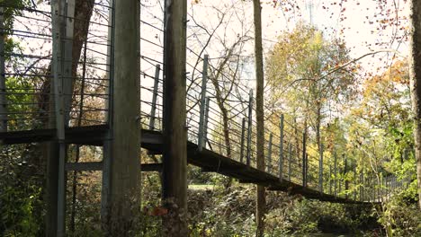 gran puente colgante sobre un río en el bosque durante la temporada de otoño