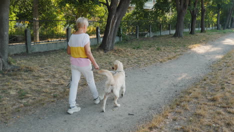 mujer mayor paseando al perro en el parque