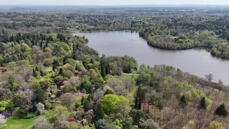 Virginia-Waters-Windsor-Great-Park-Surrey,-Inglaterra,-Panorámica-Aérea-De-Drones