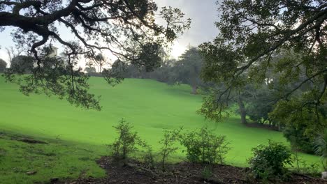 La-Lluvia-Brumosa-Cae-Ligeramente-Sobre-La-Superficie-De-Hierba-Verde-De-Un-Parque-En-Auckland,-Nueva-Zelanda