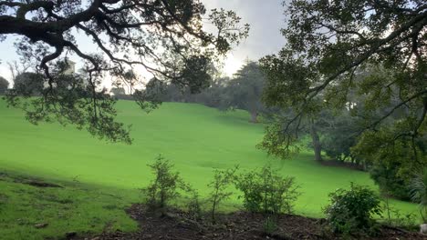 la lluvia brumosa cae ligeramente sobre la superficie de hierba verde de un parque en auckland, nueva zelanda