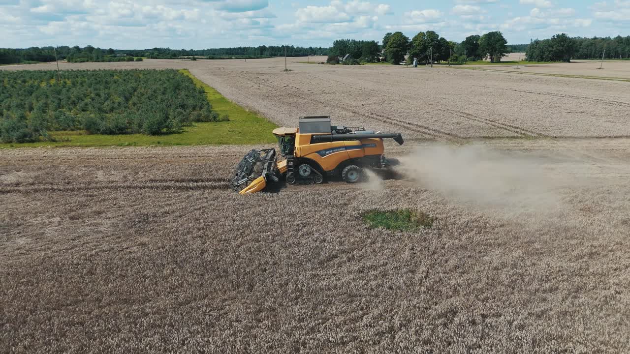 25 august 2024 Penkule, Latvia - Aerial View of Combine Harvester at Work. Summer Field Work on the Farm. Top View of Combine Gathering Corn or Wheat Crop.