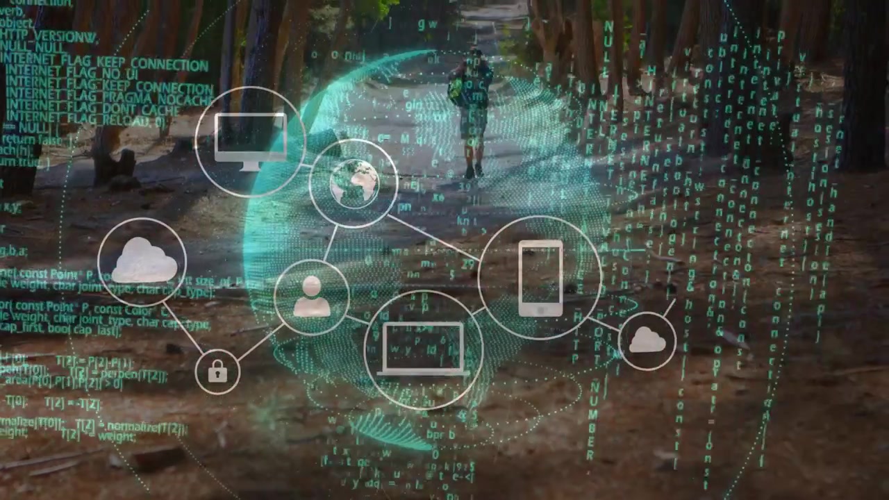 Man walking forest trail while globe appearing spawning teal nodes and code streams mapping tech