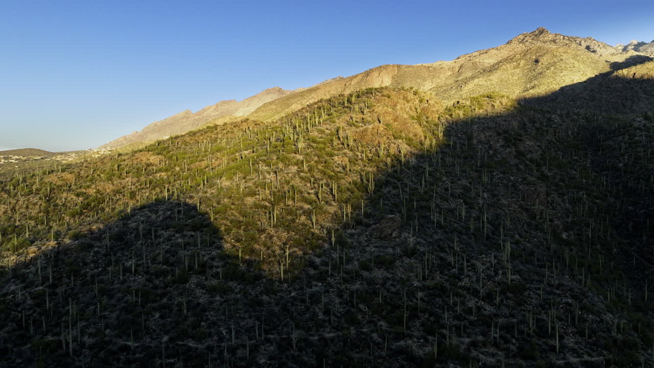 imágenes de drones volando hacia cactus de montaña con sombras nítidas en el suelo