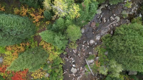 Imágenes-Aéreas-De-Arriba-Hacia-Abajo-Sobre-Un-Arroyo-Rocoso,-Una-Ruta-De-Senderismo,-En-El-Bosque-En-Otoño