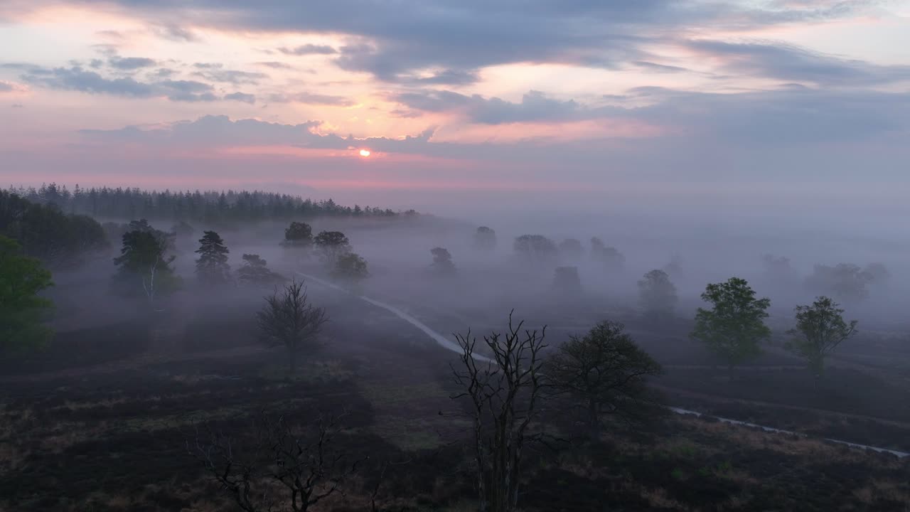 헤이드 풍경 위의 안개가 가득한 해가 뜨는 모습