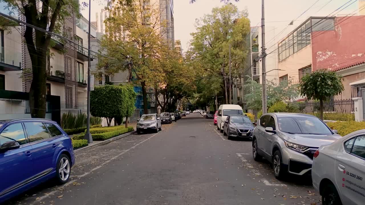 Static shot of an autumn sunset on a street in the upper class neighborhood of Polanco in the north of Mexico City