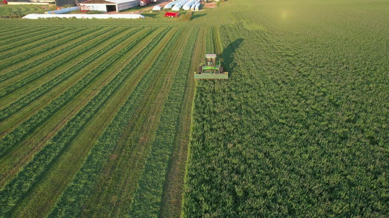 Nella Contea di Door, WI, un agricoltore su un trattore John Deere taglia il suo campo di erba medica a fine agosto-14