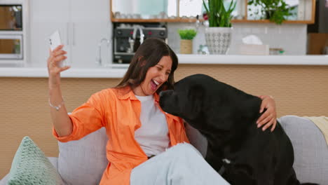 Woman,-dog-and-selfie-on-living-room-couch-in-home