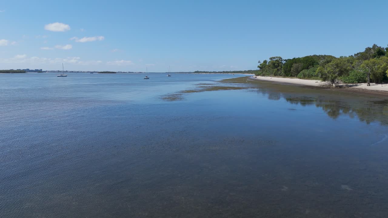 vistas panorámicas de manglares de marea y hierbas marinas