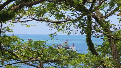 overlooking the south china sea behind the trees in kota kinabalu, malaysia. - wide shot