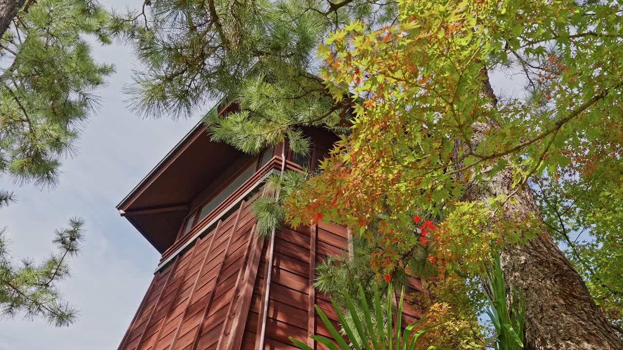 A low-angle view of the wooden tower structure of Basho-an, framed by pine and colorful autumn foliage