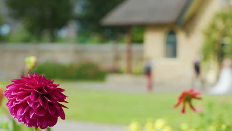 Bride poses for photographer near blooming flowers, castle-like building, natural daylight, shallow focus