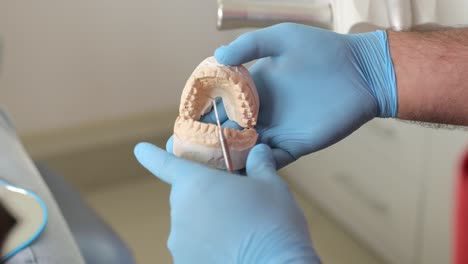 dental cast being examined by dentist