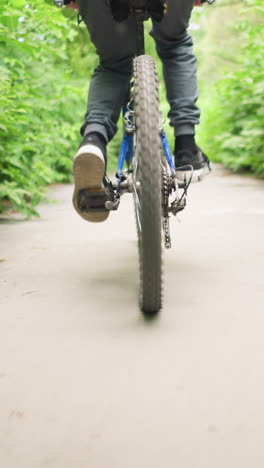 back view of someone riding bicycle along a paved path with white road markings, surrounded by lush greenery forming a tunnel effect, dry leaves are scattered across the ground