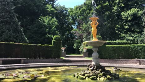 peaceful fountain water jet in the middle covered by water lily blossom and surrounded by tall tree