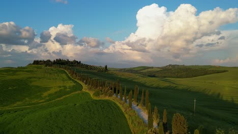 drone footage of a breathtaking tuscan sunset, highlighting a winding cypress-lined road on a hill, with a massive cloud glowing in warm hues behind the hill, illuminated by the setting sun