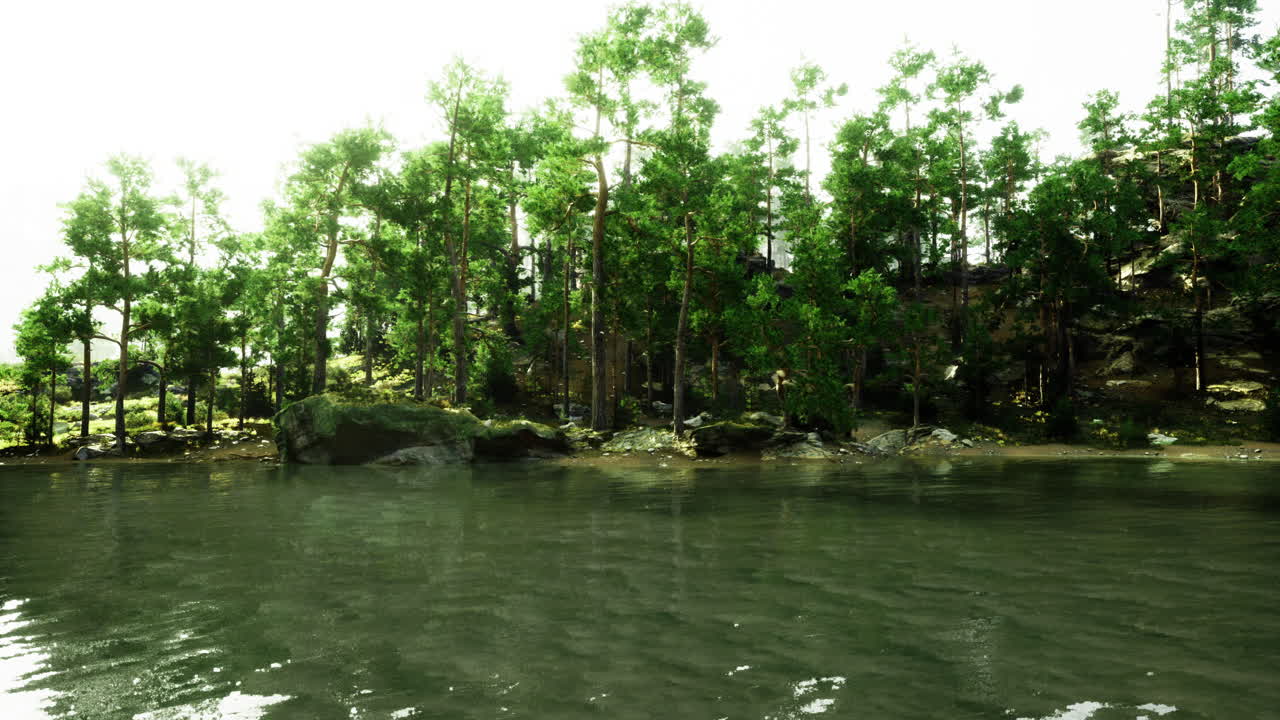 Lush green forest landscape reflected in calm water during bright daylight