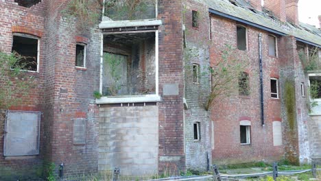 abandoned-and-deteriorating-flats-being-taken-over-by-mother-nature-and-plants