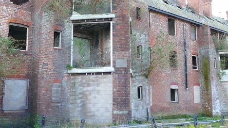 abandoned and deteriorating flats being taken over by mother nature and plants