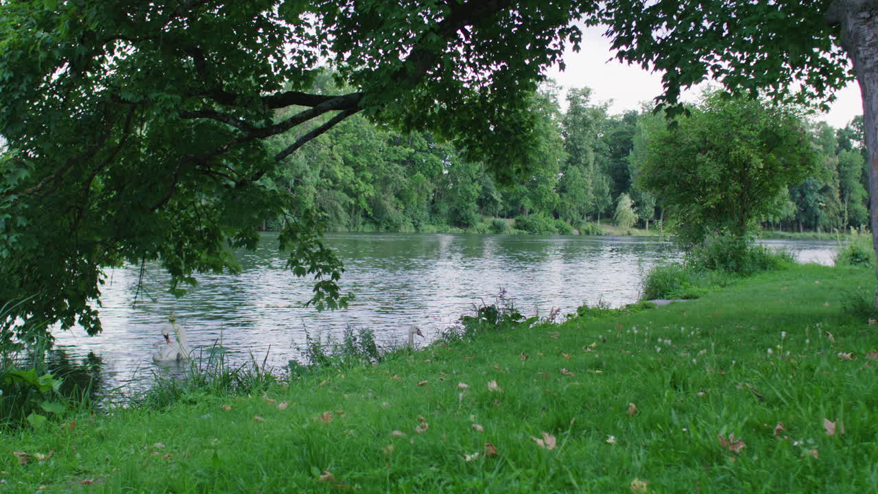 статичный снимок дуная в городе ульм, германия