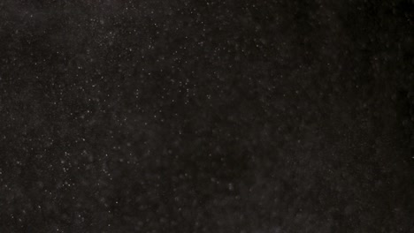 polvo aislado sobre un fondo negro
