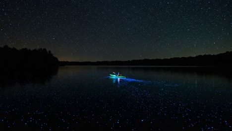 a lone kayaker navigates through a tranquil lake under a mesmerizing starry sky, surrounded by a shimmering glow emanating from bioluminescent organisms in the water