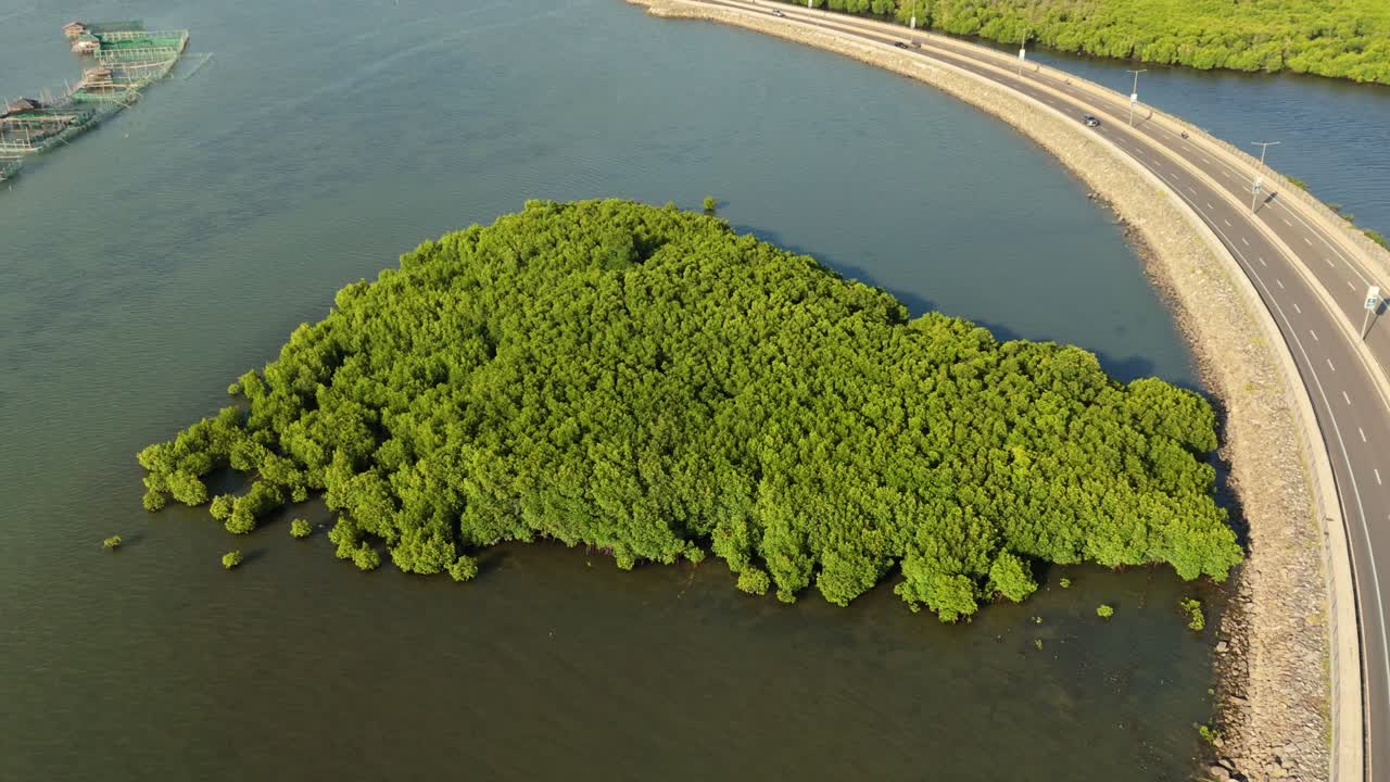 4K drone shot of a coastal highway curving beside lush mangroves and fish pens in the Philippines. Great for travel, infrastructure, environment, and sustainable development projects