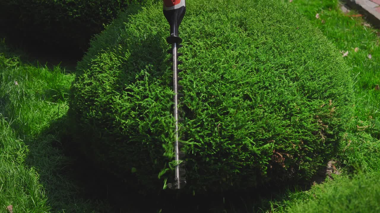 Close-up of Hedge Trimmer Shaping a Green Bush in a Garden