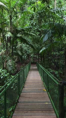 vertical handheld shot of a young brazilian woman tourist walking over a green wooden bridge in the mistico park in la fortuna, costa rica surrounded by green vibrant tropical foliage in a rainforest.
