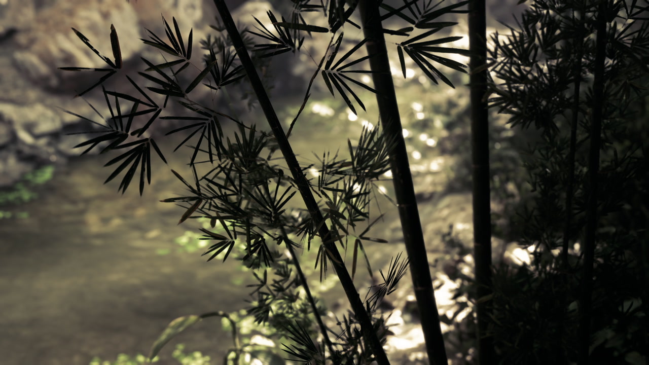Tranquil waters of a forest stream surrounded by bamboo during twilight