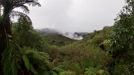 Vídeo-En-4k-Del-Valle-Volcánico-De-Waimangu-Que-Muestra-Sus-Humeantes-Géiseres-Y-Sus-Exuberantes-Paisajes