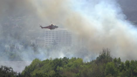 smoke from wildfire in urban area