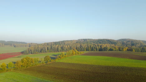 Luftaufnahme-Von-Ländlichen-Ackerland-Und-Wald-Sanften-Hügeln-Am-Sommertag-Des-Blauen-Himmels