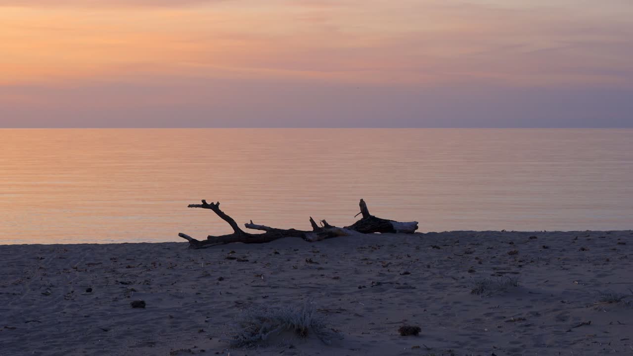해가 지면 파도 있는 바다 근처 의 모래 해변 에 누워 있는 건조 한 나무 줄기