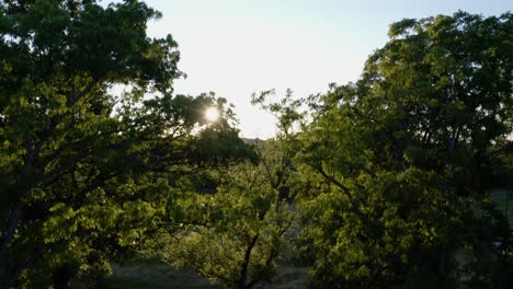 Drone-Aéreo-Inclinado-Hacia-Arriba-Sobre-El-Lago-De-Ginebra-Rodeado-De-árboles-Y-Vegetación-Verde-En-Wisconsin,-Estados-Unidos-Durante-El-Día