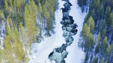 flying above cascade powerful river among scandinavian evergreen forests in winter