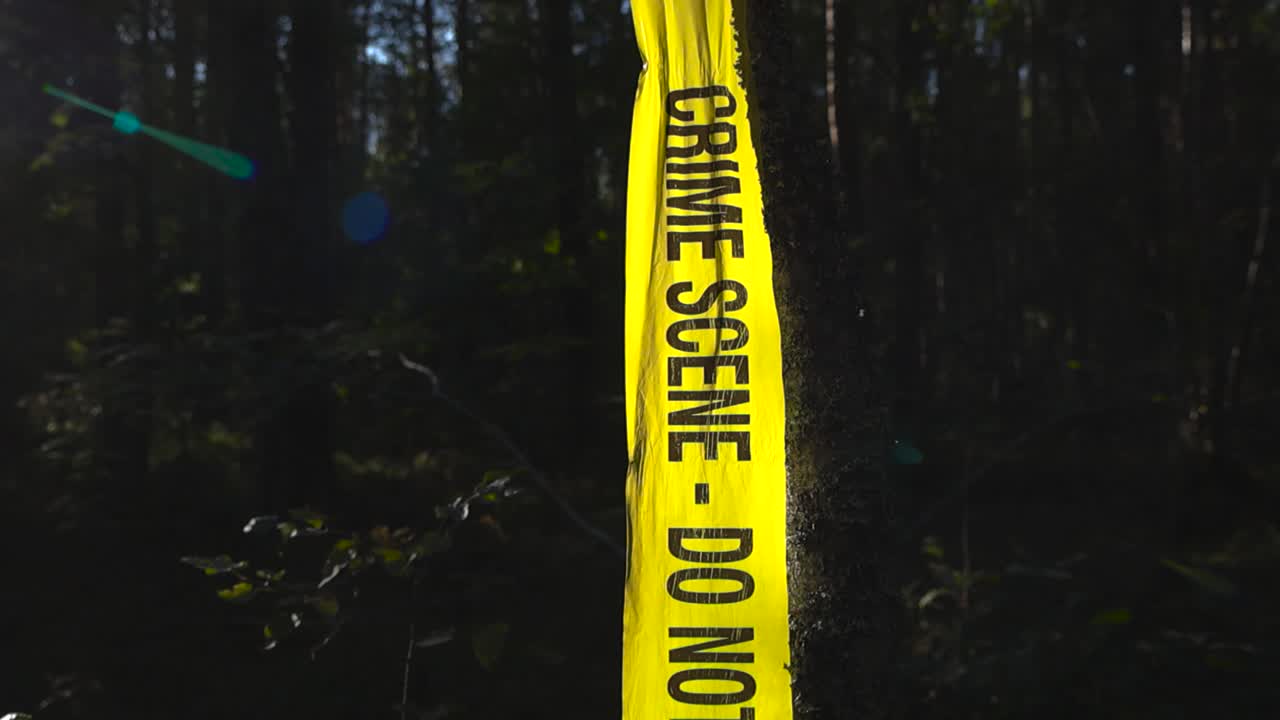 Abandoned police line Crime Scene yellow forensics investigation hanging on a tree in a sunny forest while sunshine is backlighting it. The ribbon is damaged and wrinkled, foliage and bokeh background