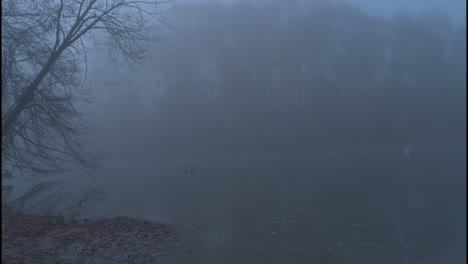 Foggy-water-camera-pan-right