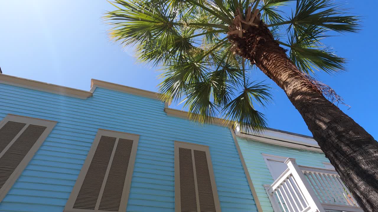 fachada azul de la casa con palmera a la luz del sol brillante
