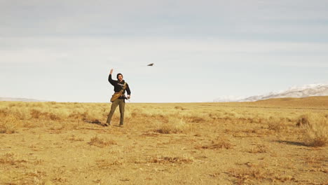 slow motion shot of a predator falcon bird flying in to catch food from the hand of a man on a barren land at daytime