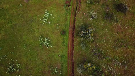 Mount-Elgon-National-Park-With-Hikers-Along-Scenic-Tracks-On-Mountains-In-Kenya,-East-Africa