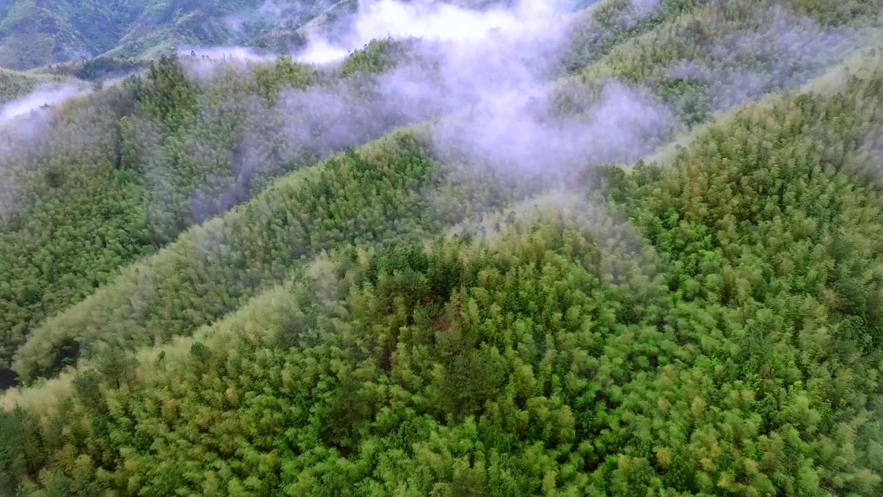 Aerial photography of high mountains shrouded in clouds and mist after rain, humid climate, and green forests shrouded in mist