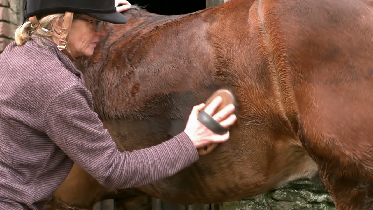 Nice woman combing horse hairs