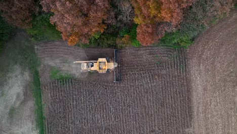 top down aerial of combine harvest harvest in autumn