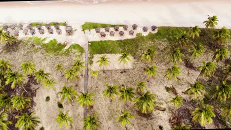 Drone-bungalows,-coconut-trees-and-waves