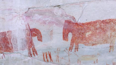 drone close-up shot revealing an ancient paintings panel showing two tapirs