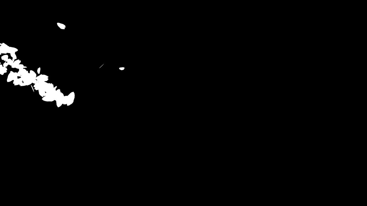 로즈 알파 배경 4k