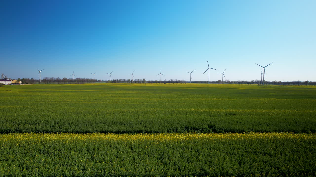 disparo amplio descendente de la granja de turbinas eólicas rotativas y el campo agrícola amarillo a la luz del sol